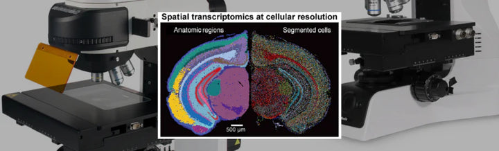 Motic Participates in DNA article published in Cell