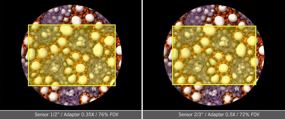 Basic Microscopy Concepts - The C-mount: a Needful Thing