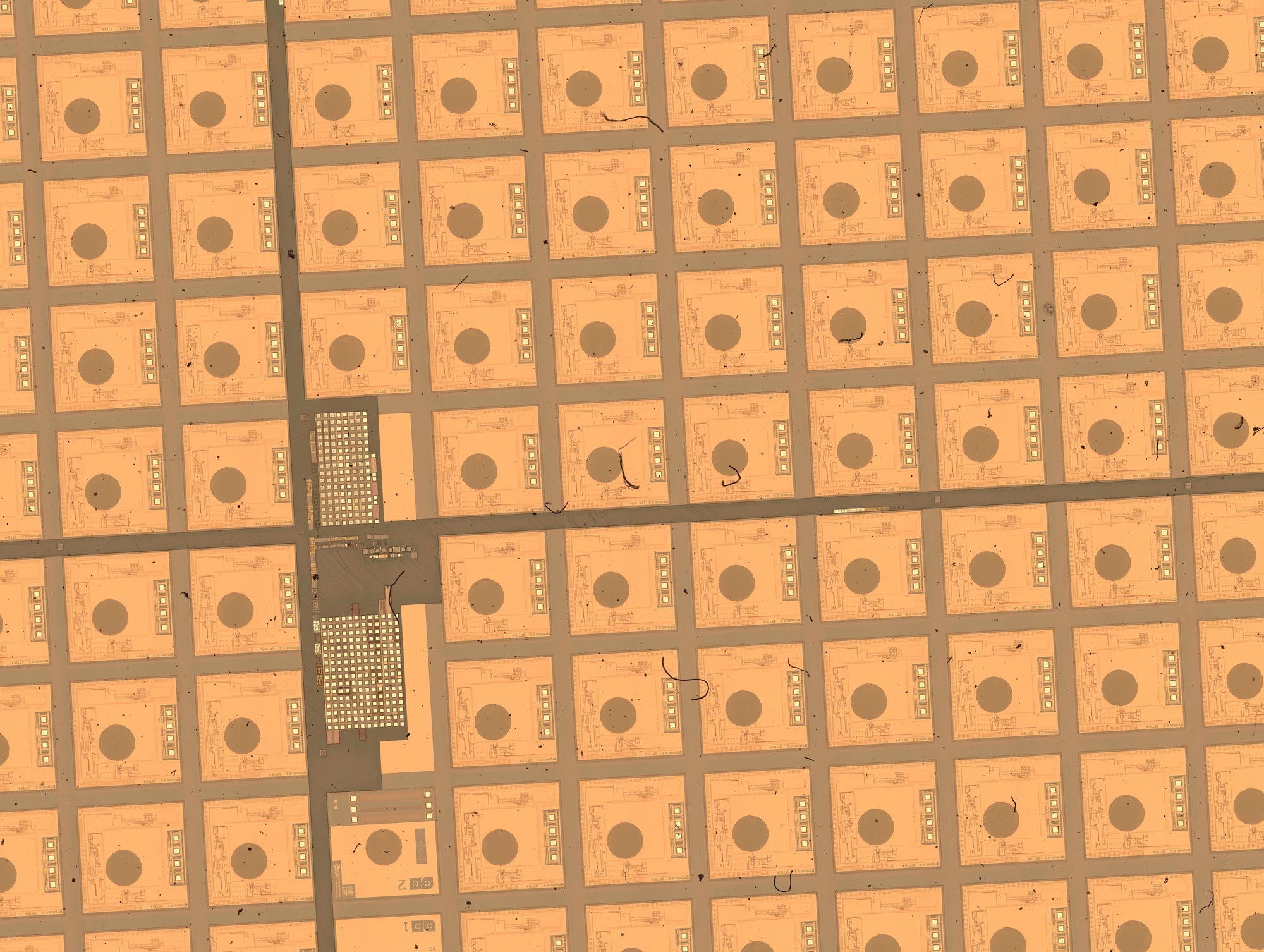 Easy Macro Imaging - Automated Tiling Using a Motorized Stage