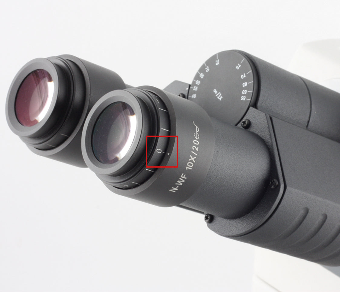 Basic Microscopy Concepts - Parfocality Adjustment for Upright Microscopes
