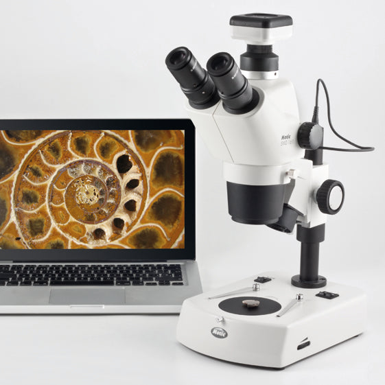 Some Ideas About Stereo Microscopes