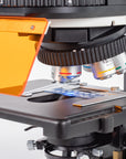 PA53 BIO FS6
