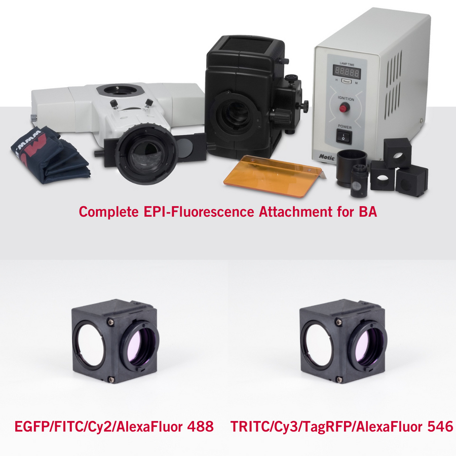 BA410E with FITC and TRITC Filter Fluorescence Bundle