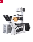 AE31E with FITC and TRITC Filter Fluorescence Bundle