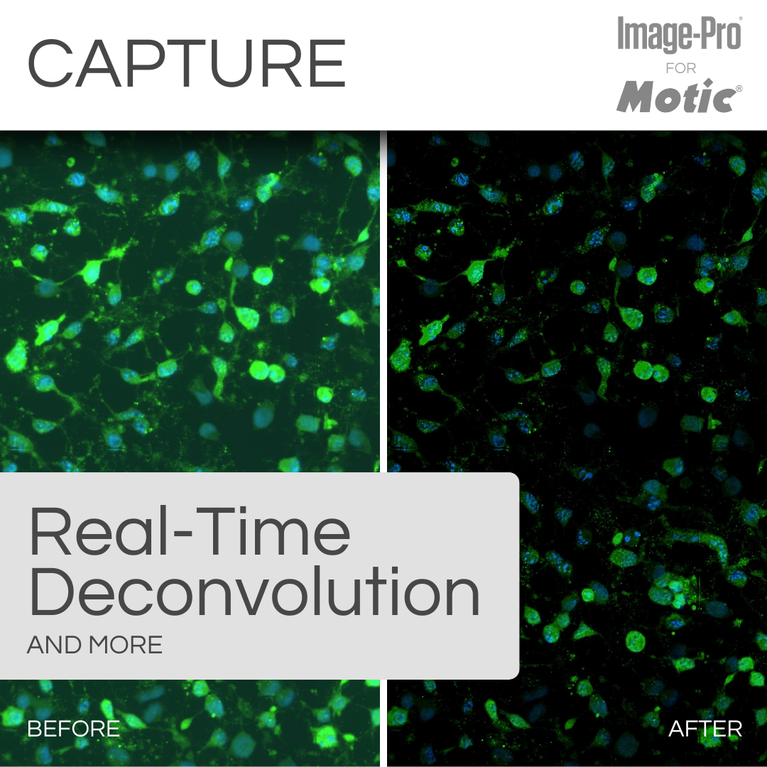 PA53-FL &amp; Image-Pro® Analysis Package