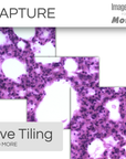 PA53-PATH & Image-Pro® Analysis Package