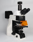 PA53 BIO FS6
