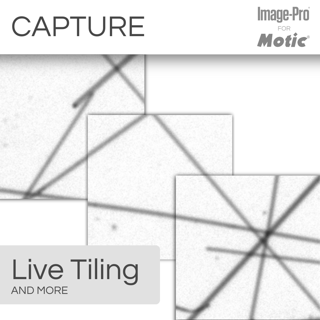 Panthera TEC MAT &amp; Image-Pro® Analysis Package
