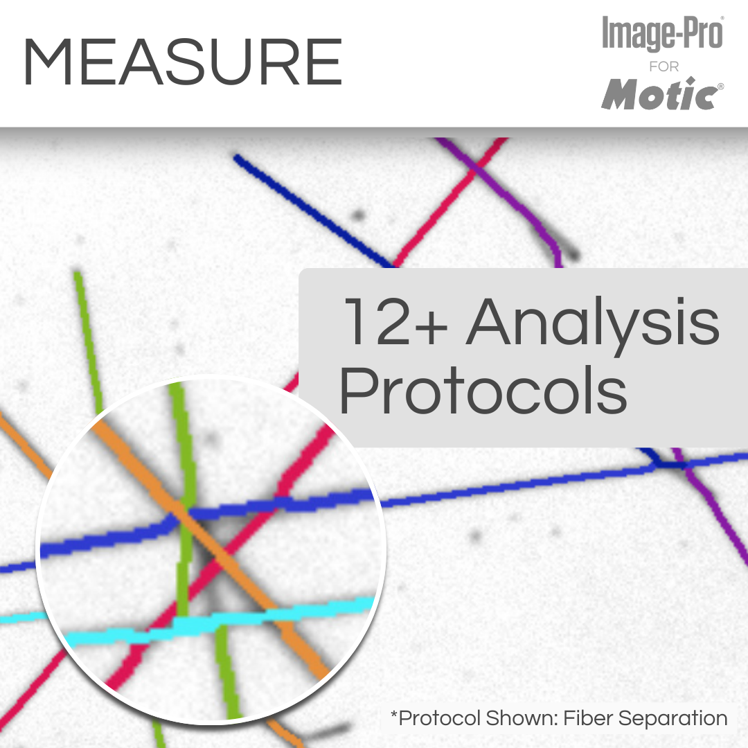 Panthera TEC MAT &amp; Image-Pro® Analysis Package