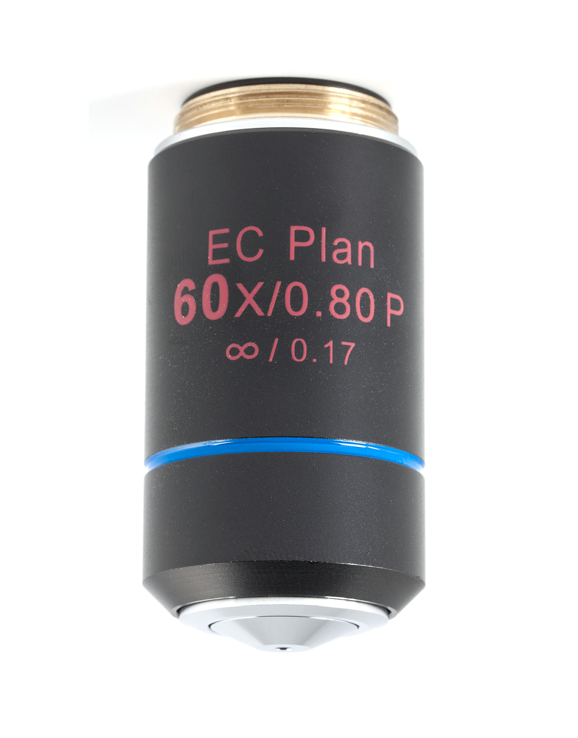 BA310POL Objective - CCIS EC Plan 60X - (1101001703981) - Motic Microscopes