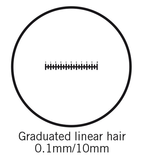 Reticle for BA eyepieces - Micrometer - 100 divisions in 10mm - 25mm diameter (1101001401841) - Motic Microscopes